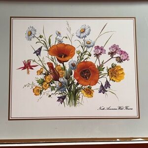 Pimpernel Set of 4 wildflowers Placemats